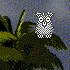 hyssop's Avatar